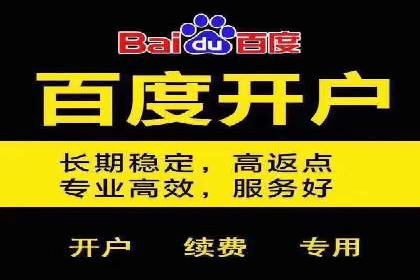 百度竞价广告与自然搜索排名的结合策略案例